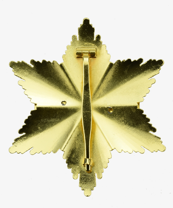 Order of Merit of the Federal Republic of Germany (Grand Cross in a special version)
